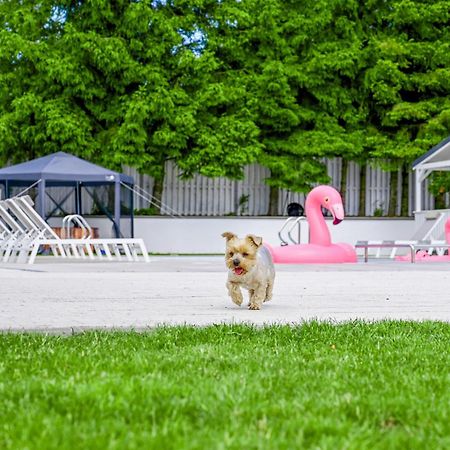 Resort Golf Колцево Екстериор снимка